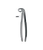 Extracting Forceps # 13 Non-Slip Jaws