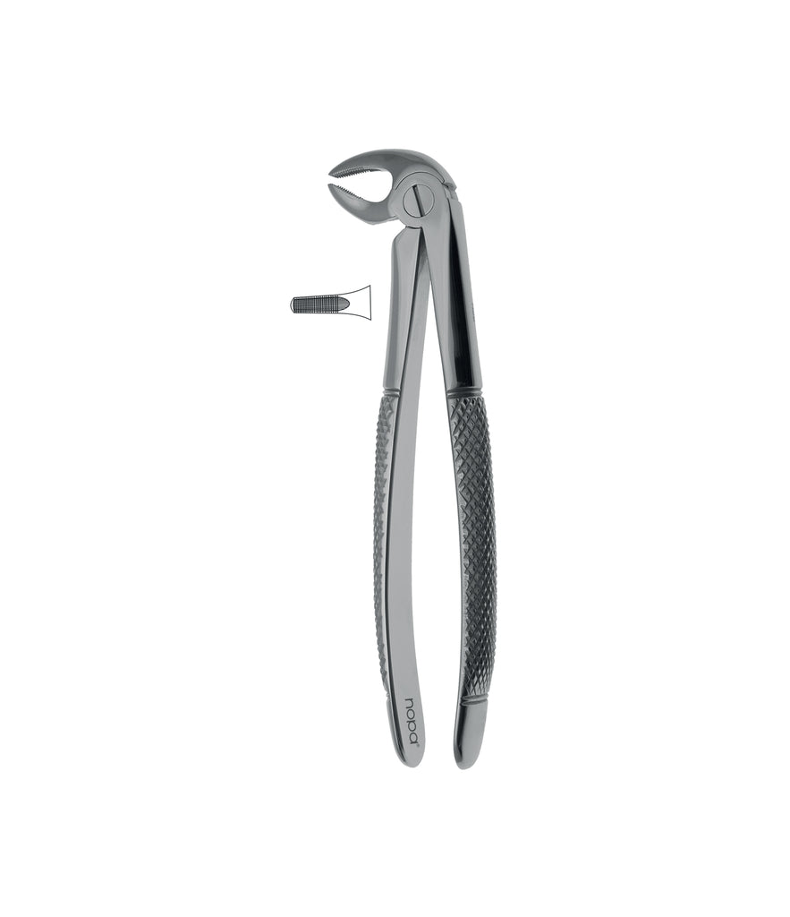Extracting Forceps # 13 Non-Slip Jaws