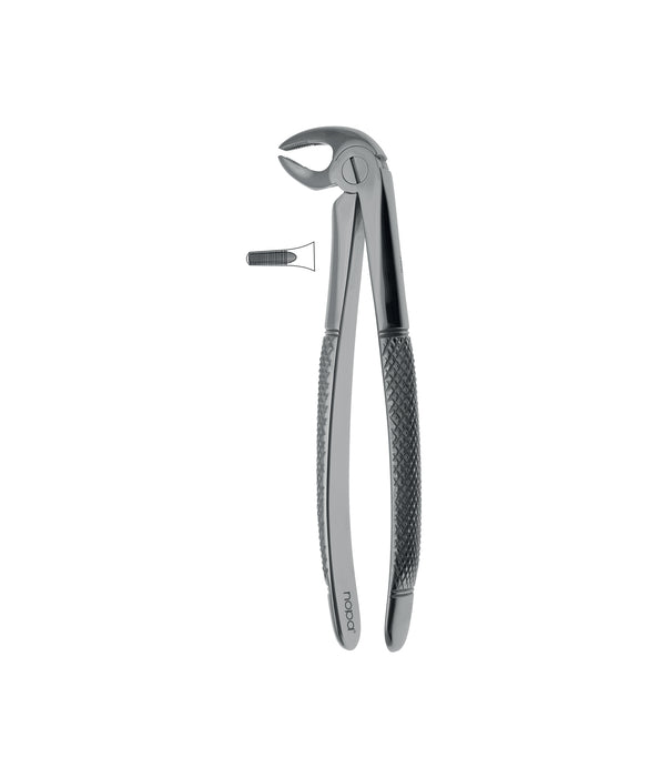 Extracting Forceps # 13 Non-Slip Jaws