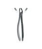 Extracting Forceps # 17 Non-Slip Jaws
