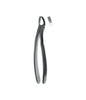 Extracting Forceps # 19 Non-Slip Jaws