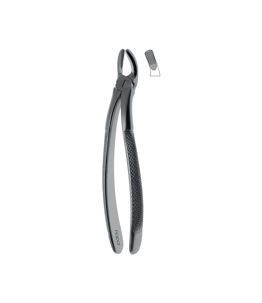 Extracting Forceps # 19 Non-Slip Jaws