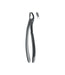Extracting Forceps # 19 Non-Slip Jaws