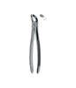 Extracting Forceps # 21 Non-Slip Jaws