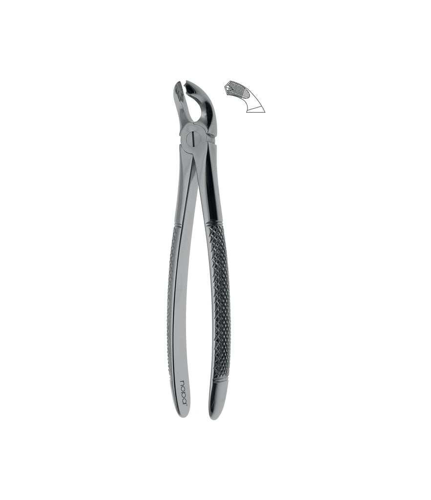 Extracting Forceps # 21 Non-Slip Jaws