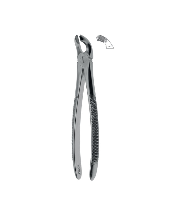 Extracting Forceps # 21 Non-Slip Jaws