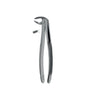 Extracting Forceps # 24 Non-Slip Jaws
