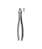 Extracting Forceps # 29 Non-Slip Jaws