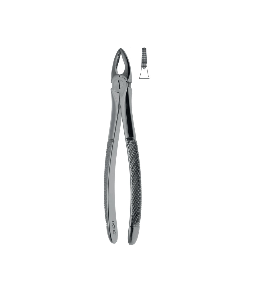 Extracting Forceps # 29 Non-Slip Jaws