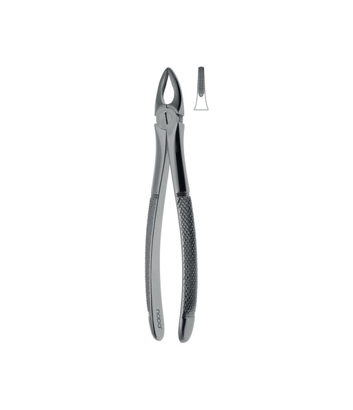 Extracting Forceps # 29 Non-Slip Jaws