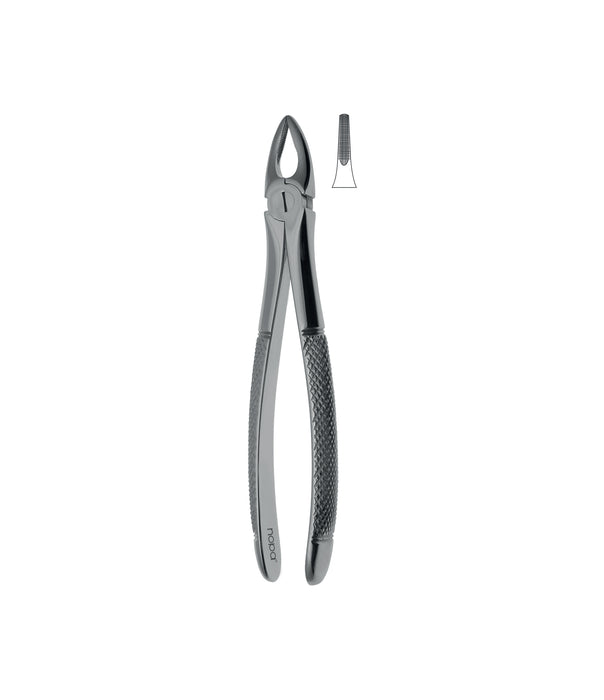 Extracting Forceps # 29 Non-Slip Jaws