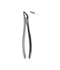 Extracting Forceps # 31 Non-Slip Jaws