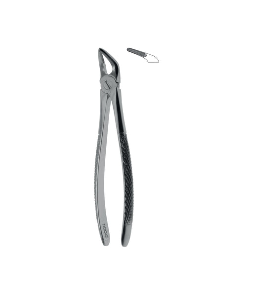Extracting Forceps # 31 Non-Slip Jaws