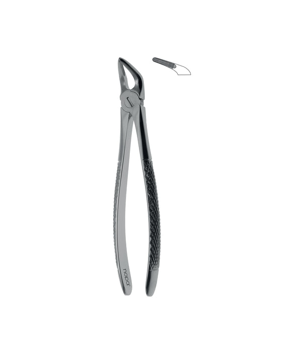 Extracting Forceps # 31 Non-Slip Jaws
