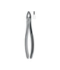 Extracting Forceps # 34N Non-Slip Jaws