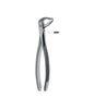 Extracting Forceps # 36N Non-Slip Jaws