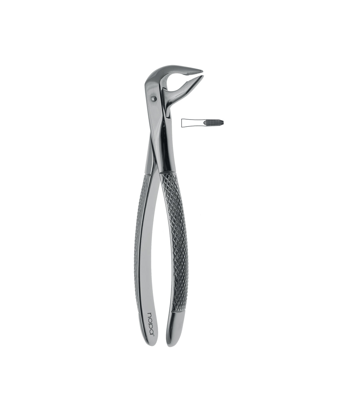 Extracting Forceps # 36N Non-Slip Jaws — Stark Medical Pty Ltd