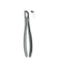 Extracting Forceps Non-Slip Jaws # 79