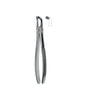 Extracting Forceps Non-Slip Jaws # 79A
