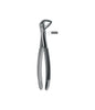 Extracting Forceps # 136