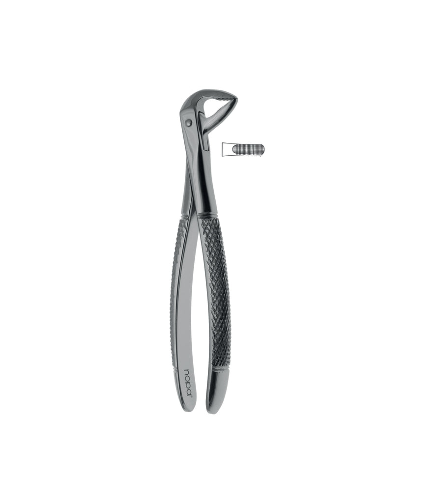 Extracting Forceps # 136