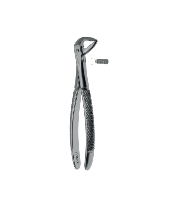 Extracting Forceps # 136