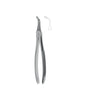 Extracting Forceps # 146