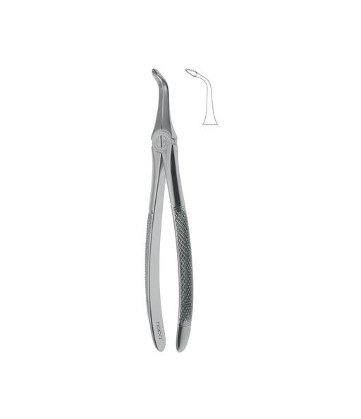 Extracting Forceps # 146