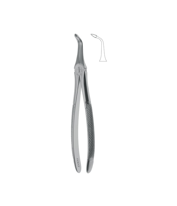 Extracting Forceps # 146