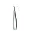 Extracting Forceps # 146