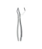 Extracting Forceps # 151