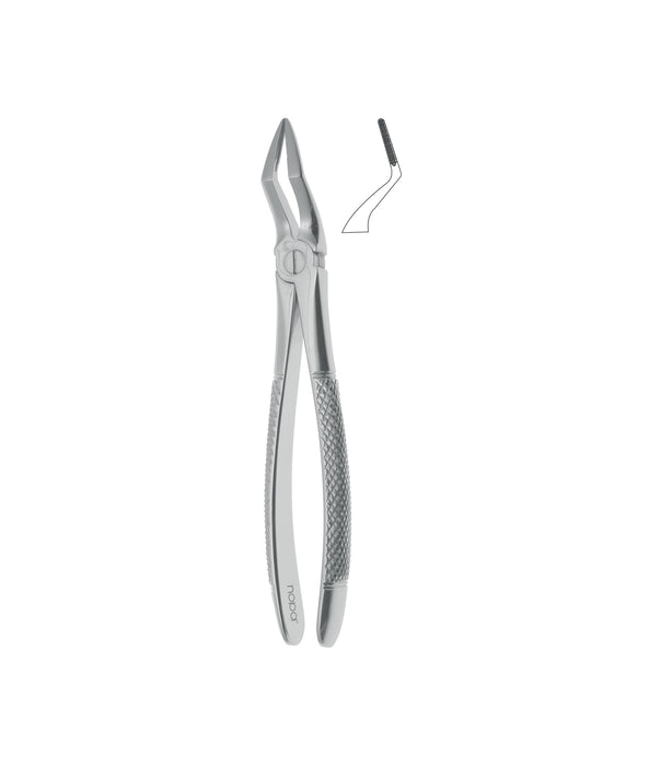 Extracting Forceps # 151