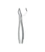 Extracting Forceps # 151