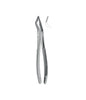 Extracting Forceps # 152