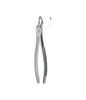 Extracting Forceps # 153