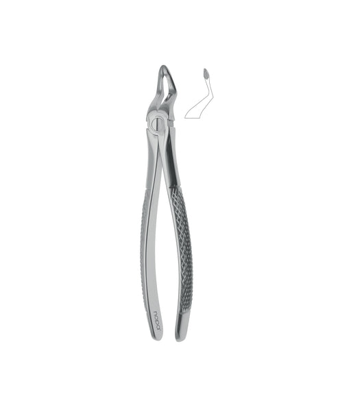 Extracting Forceps # 153