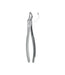 Extracting Forceps # 153