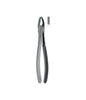 Extracting Forceps # 1 Elegance