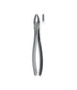 Extracting Forceps # 2 Elegance