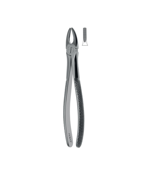 Extracting Forceps # 2 Elegance