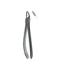 Extracting Forceps # 7 Elegance