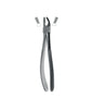 Extracting Forceps # 17 Elegance