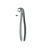 Extracting Forceps # 22 Elegance