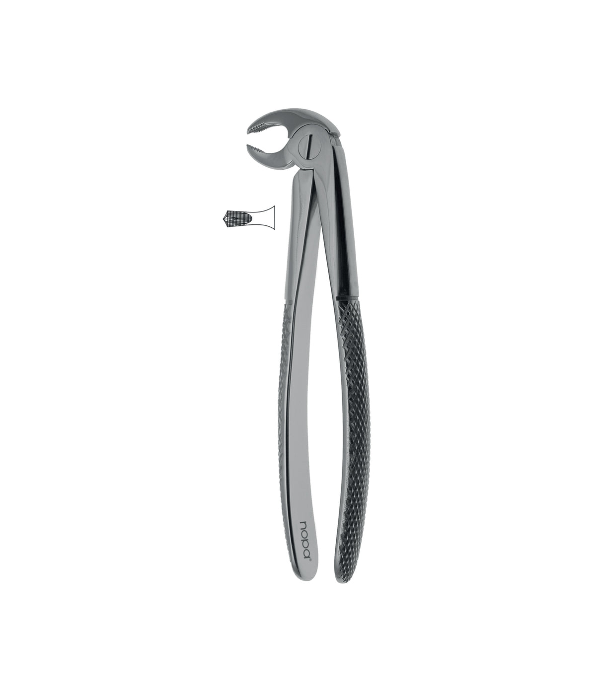 Extracting Forceps # 22 Elegance — Stark Medical Pty Ltd
