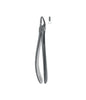 Extracting Forceps # 30 Elegance
