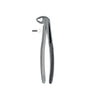 Extracting Forceps # 33 Elegance