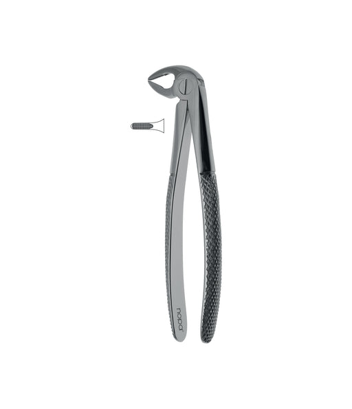 Extracting Forceps # 33 Elegance