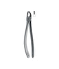 Extracting Forceps # 39 Elegance