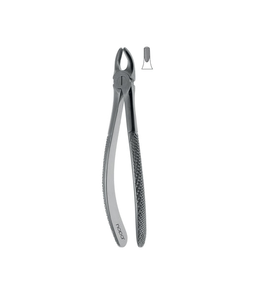Extracting Forceps # 39 Elegance
