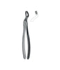Extracting Forceps # 67A Elegance